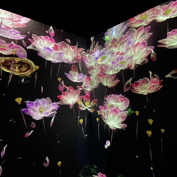 Meet your Posher, AM - Picture 4 of 5